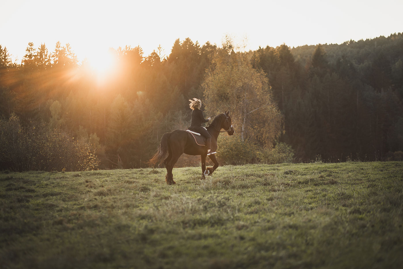 Reiten Aldein